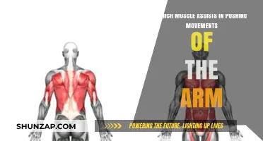 Key Muscles Driving Arm Pushing Movements: A Comprehensive Guide