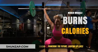 Muscle Power: Burning Calories, Building Strength