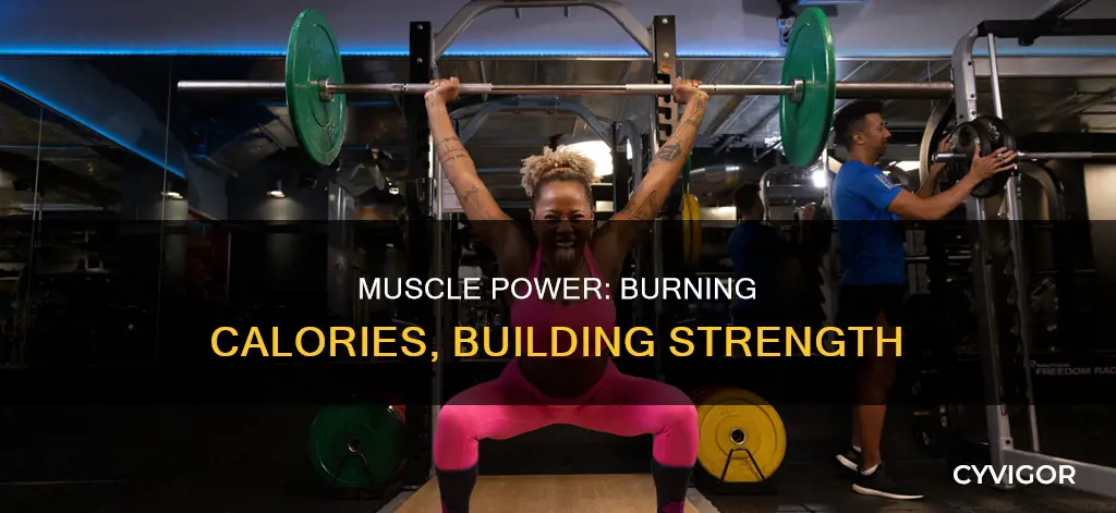 which muscle burns calories
