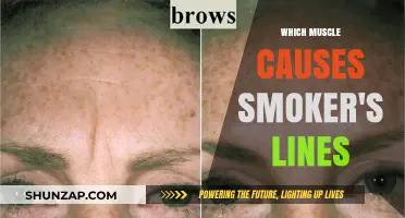 Understanding Smoker's Lines: The Role of Orbicularis Oris Muscle
