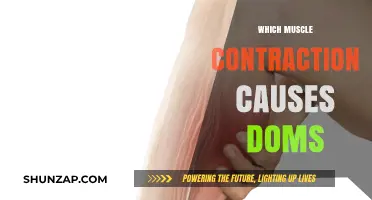 Understanding Delayed Onset Muscle Soreness: Which Contraction Causes DOMS?