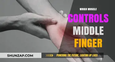 How to Control Your Middle Finger Muscle