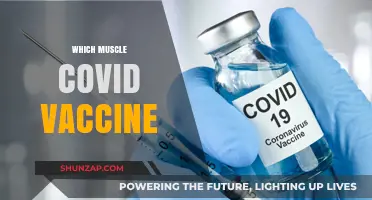 Covid Vaccine and Muscle Pain: What's the Link?