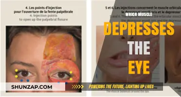 Eye Muscles: The Depressors and Their Functions