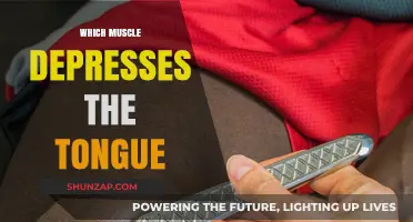 Tongue Depressors: Muscles That Control Tongue Movement