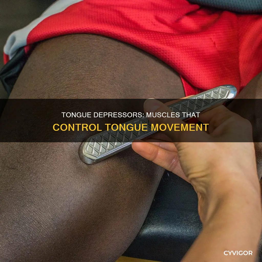 which muscle depresses the tongue