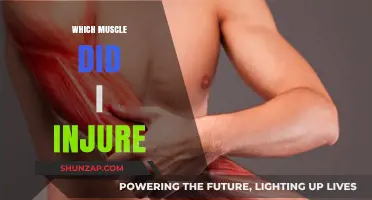 Injured Muscles: Identifying the Source of Pain
