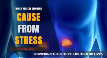 Stress-Induced Muscle Disorders: Unraveling the Mind-Body Connection