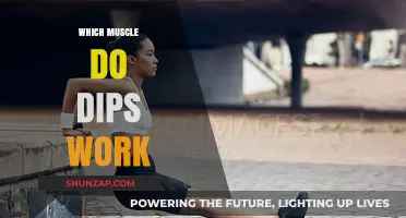 Dips Workout: Targeting Triceps, Chest, and Shoulder Muscles Effectively