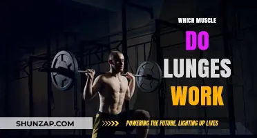 Muscles Targeted by Lunges: A Comprehensive Guide to Lower Body Strength