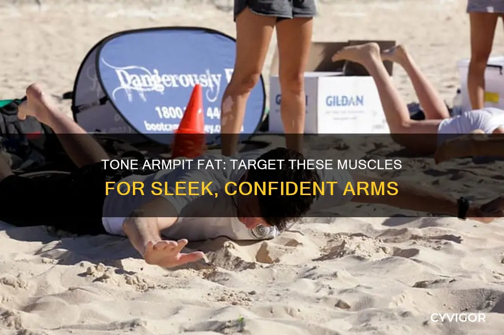 which muscle do you need to work for armpit fat