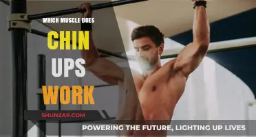 Chin-Ups: Targeting Back, Arms, and Core Muscles Effectively