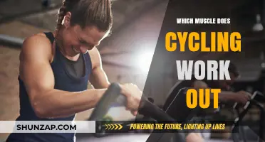 Cycling's Muscle Benefits: Targeted Workout for Legs, Core, and More
