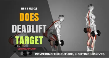 Deadlifts: Targeting the Back, Glutes, and Hamstrings