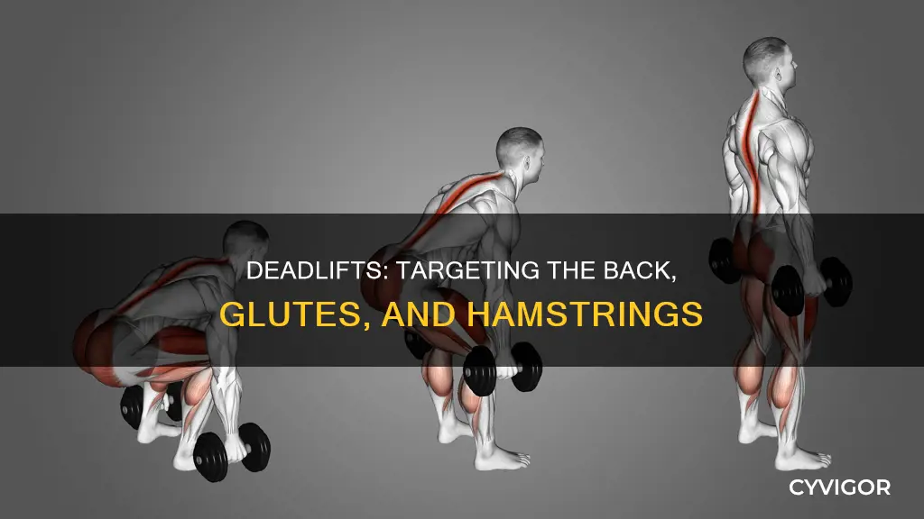 which muscle does deadlift target