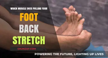 Stretch Your Foot Back: Targeting the Gastrocnemius and Hamstring Muscles