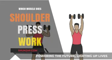 Shoulder Press Muscles: Targeted Strength Training for Upper Body Power