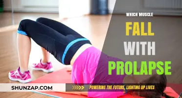 Pelvic Floor Muscles and Prolapse: What You Need to Know