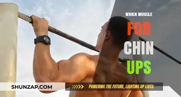 Mastering Chin-Ups: Targeting the Right Muscles