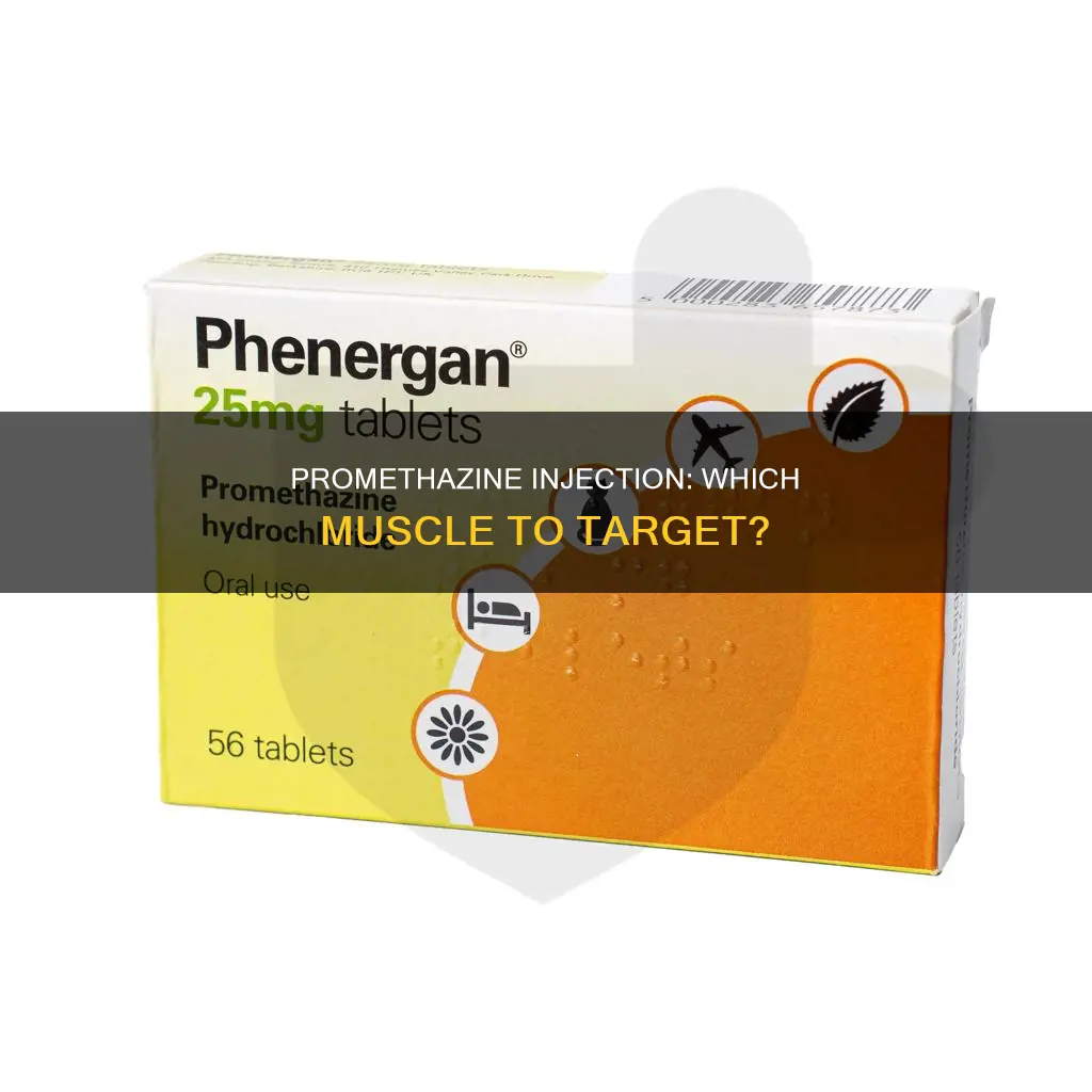 which muscle for promethazine injection