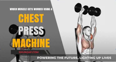 Chest Press Machine: Target Muscles and Effective Workout Benefits