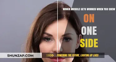 Unilateral Chewing: Targeting Specific Muscles in Your Jaw and Face