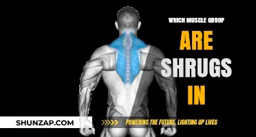 Shrugs Target: Unveiling the Primary Muscle Group for Shoulder Strength