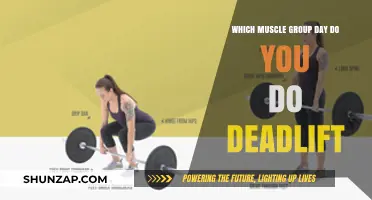 Deadlift Muscle Group Day: Targeting Back, Legs, and Core Effectively