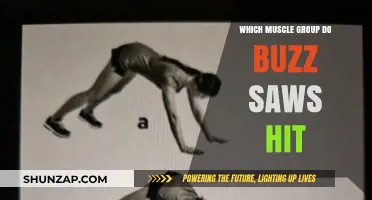 Buzz Saw Exercise: Targeted Muscle Groups and Workout Benefits Explained