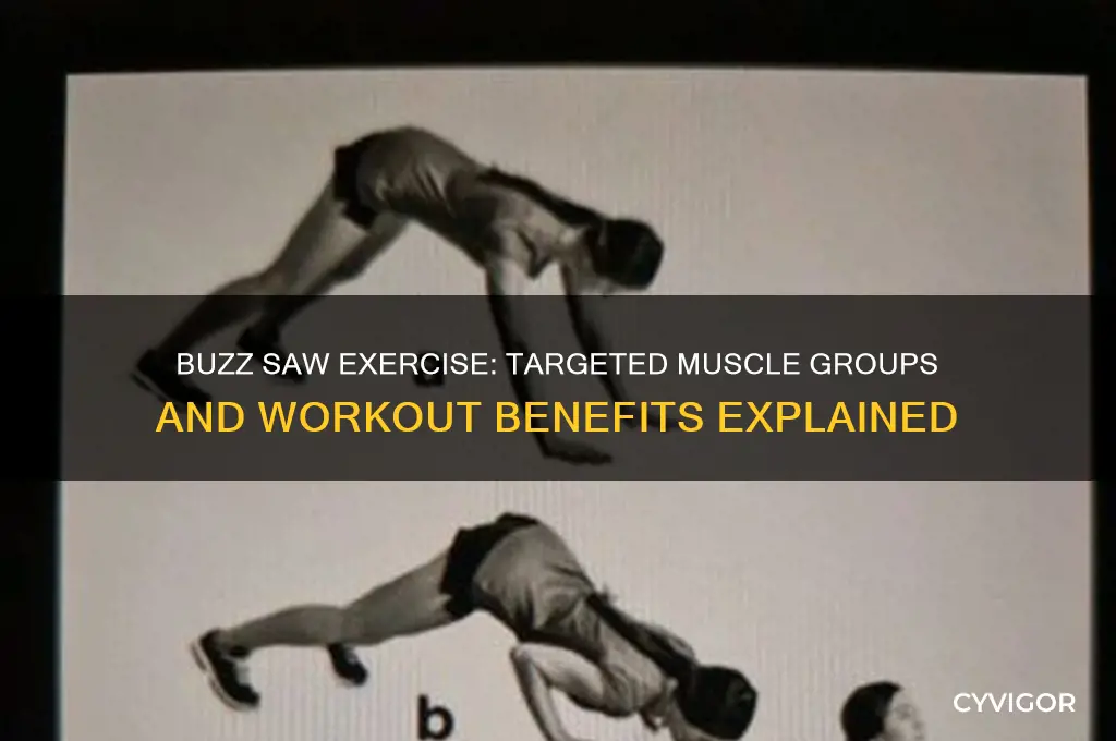 which muscle group do buzz saws hit