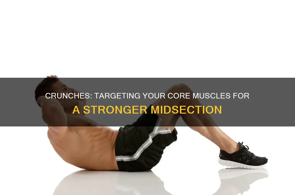 which muscle group do crunches develop