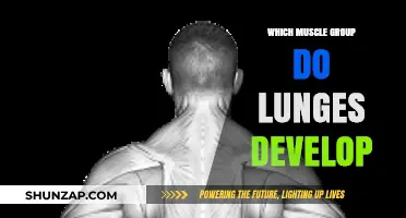 Lunges: Targeting Quads, Glutes, Hamstrings, and Core Muscles Effectively