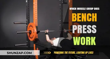 Bench Press Benefits: Targeting Chest, Shoulders, and Triceps Effectively