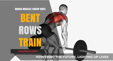 Bent Rows: Targeting Back, Shoulders, and Core Muscles Effectively