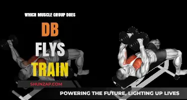 DB Flys: Targeting Chest Muscles for Strength and Definition