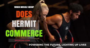Hermit Commerce: Unveiling the Muscle Groups Behind the Unique Workout