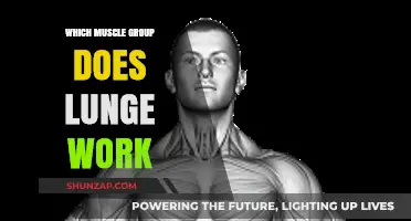 Lunges Target: Unlocking the Key Muscle Groups for Strength and Stability