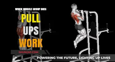 Pull-Ups: Targeting Back, Arms, and Core Muscles Effectively