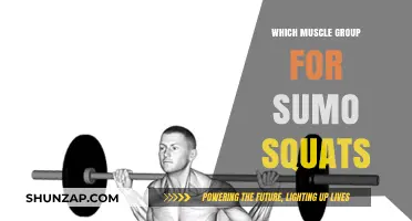 Sumo Squats: Targeting Glutes, Quads, and Inner Thigh Muscles Effectively