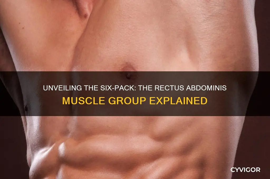 which muscle group is commonly called six pack