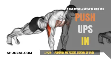 Diamond Push-Ups: Targeting Triceps, Shoulders, and Core Muscles