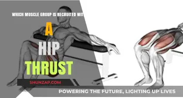 Hip Thrust Muscles: Glutes, Hamstrings, and Core Activation Explained