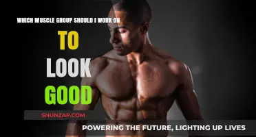 Sculpt Your Dream Physique: Target These Muscle Groups for Optimal Results