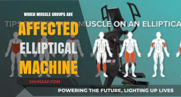 Elliptical Machine Workout: Targeted Muscle Groups and Benefits Explained