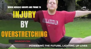 Overstretching Risks: Muscle Groups Most Vulnerable to Injury
