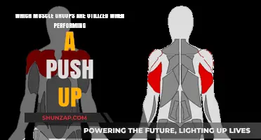 Muscles Engaged: Unlocking the Power of Push-Ups for Total Body Strength