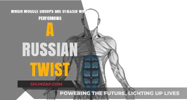 Russian Twist Muscles: Core, Obliques, and Back Activation Explained
