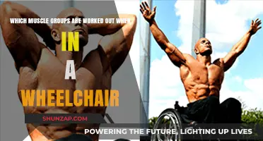 Wheelchair Workout: Key Muscle Groups Strengthened in Daily Use