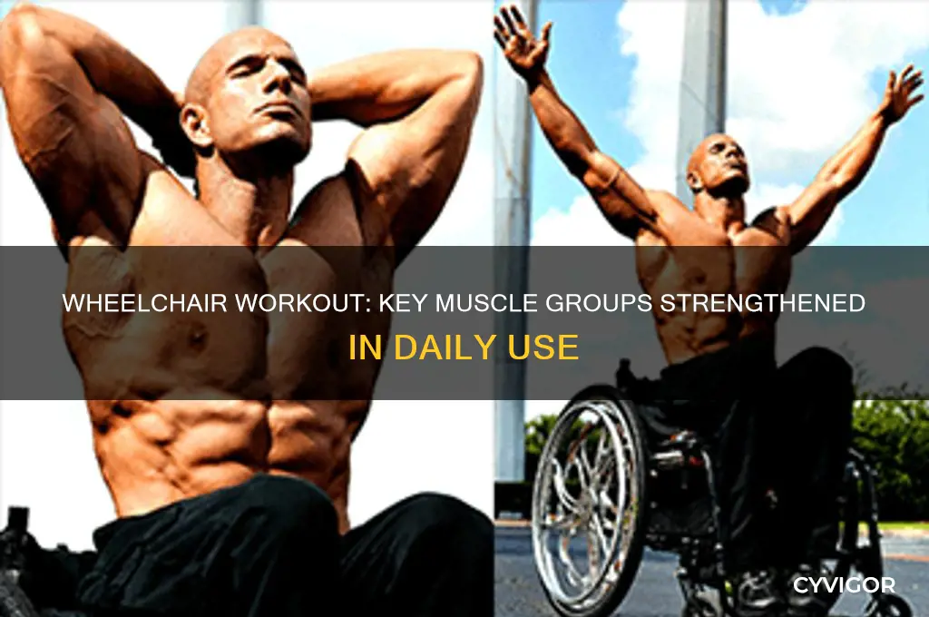 which muscle groups are worked out when in a wheelchair
