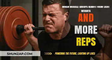 Light Weights, High Reps: Targeting Endurance-Focused Muscle Groups